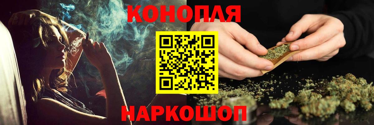 Каннабис сатива Кохма