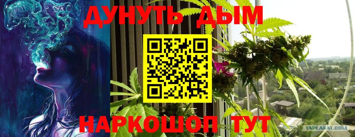 Кохма  Шишки марихуана марихуана  Вход с VPN  МАРИХУАНА OG Kush  Канабис семена 